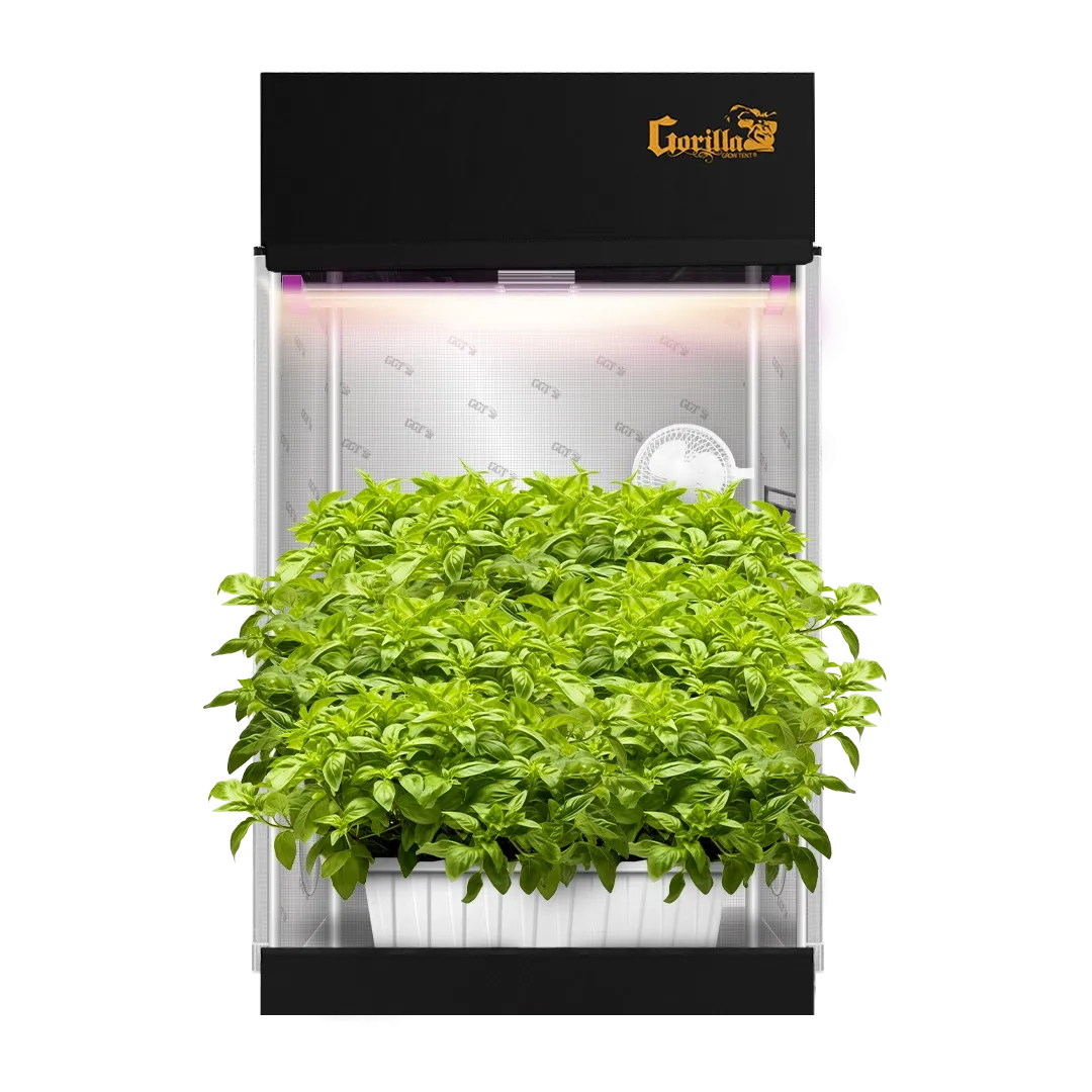 2x4 Grow Tent Kit Pro  - Hydroponic